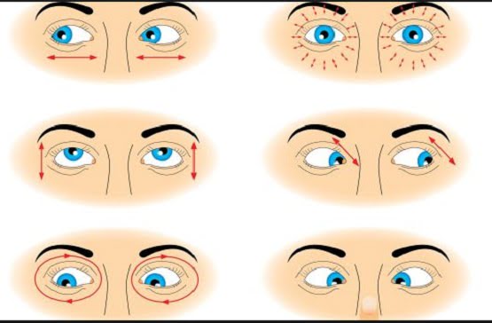 Göz Kasları Egzersizleri - Mavi Göz Görselleri