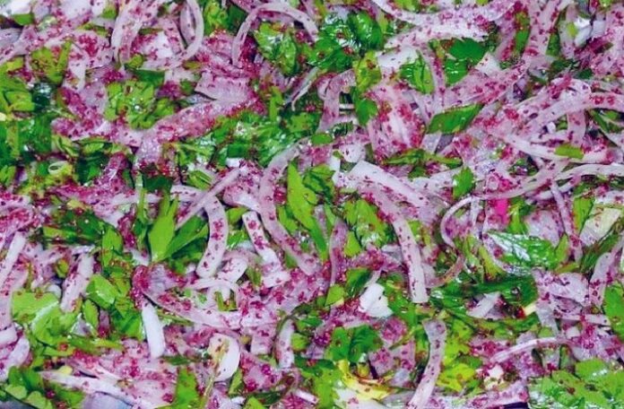 Sumakli_Sogan_Salatasi